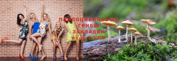 мескалин Богданович