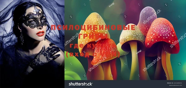 первитин Белокуриха