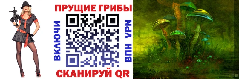 ОМГ ОМГ зеркало  Томари  Псилоцибиновые грибы Cubensis  купить  