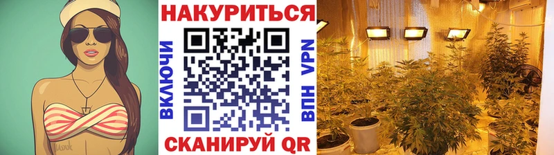 Бошки марихуана THC 21%  Томари 